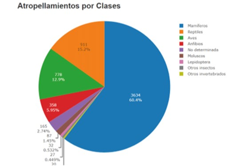 Atropellamiento.png